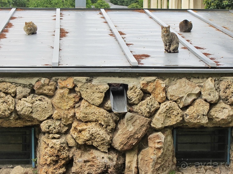 Испанская "Камчатка" - Галисия. Городские путешествия