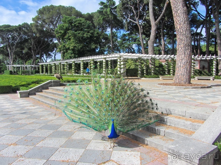 Испанская "Камчатка" - Галисия. Городские путешествия