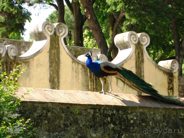 Лиссабон и окрестности. День 1 - Лиссабон.