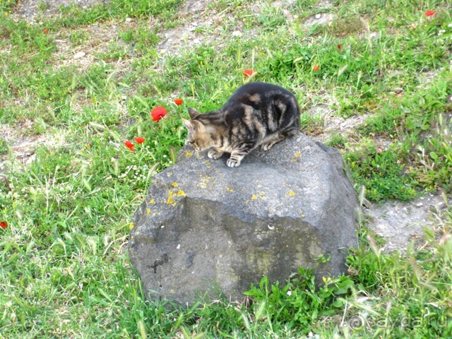 Лиссабон и окрестности. День 1 - Лиссабон.