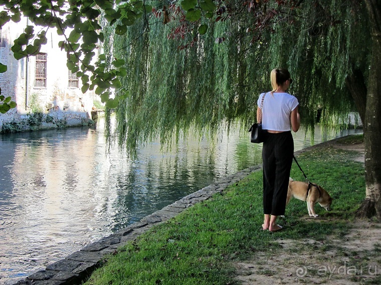 Пицца "североитальянская": Венеция и Венето, Тренто, Падуя и северная Гарда. Часть 6