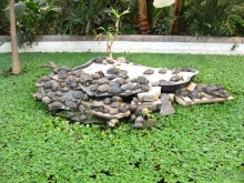 Аутентичная Испания (Куэнка)