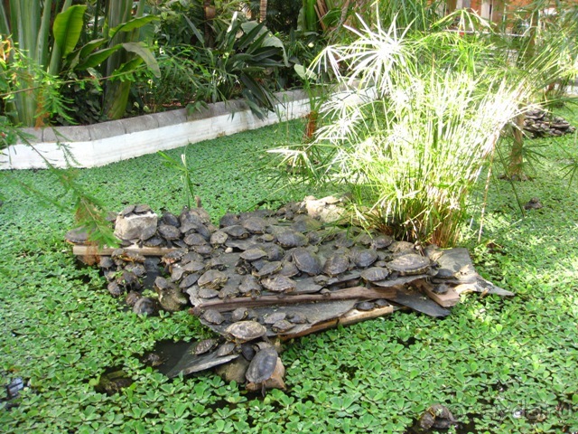 Аутентичная Испания (Куэнка)