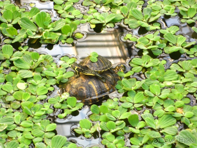 Аутентичная Испания (Куэнка)