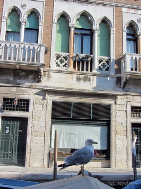 Венеция без стереотипов и Гранд-канала: сухопутные прогулки по Городу на воде. Часть 1/5