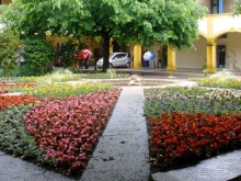 От Марселя до Каркассона: 5 городов за 5 дней (Арль)