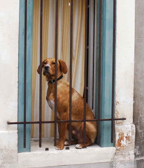 От Марселя до Каркассона: 5 городов за 5 дней (Арль)