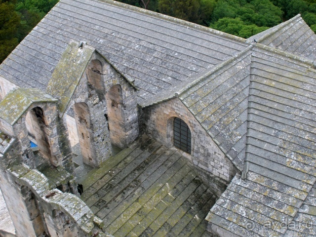 От Марселя до Каркассона: 5 городов за 5 дней (Арль)