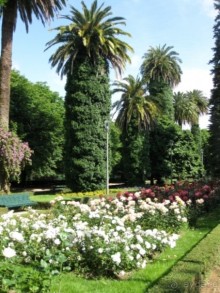 Наш "путь Сантьяго" (от Мадрида до Компостелы). Сантьяго де Компостела ІІІ