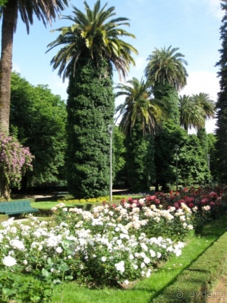 Наш "путь Сантьяго" (от Мадрида до Компостелы). Сантьяго де Компостела ІІІ