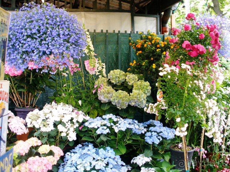 Франция без пиетета: путевой оливье (Париж и окрестности часть 6)