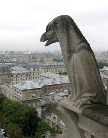 Франция без пиетета: путевой оливье (Париж и окрестности часть 6)