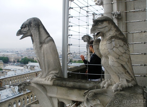 Франция без пиетета: путевой оливье (Париж и окрестности часть 6)