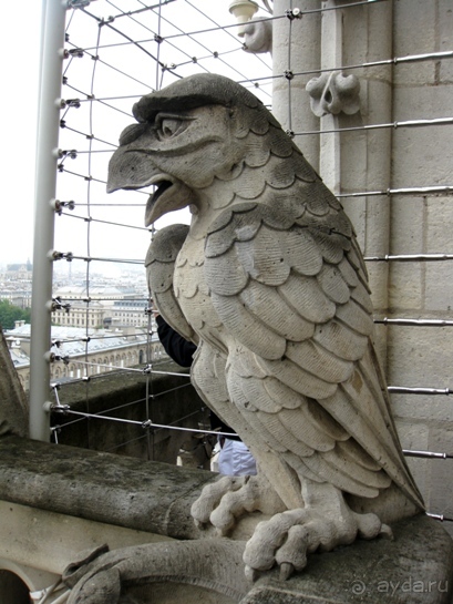 Франция без пиетета: путевой оливье (Париж и окрестности часть 6)