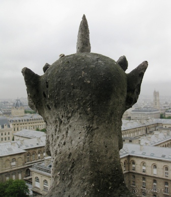 Франция без пиетета: путевой оливье (Париж и окрестности часть 6)