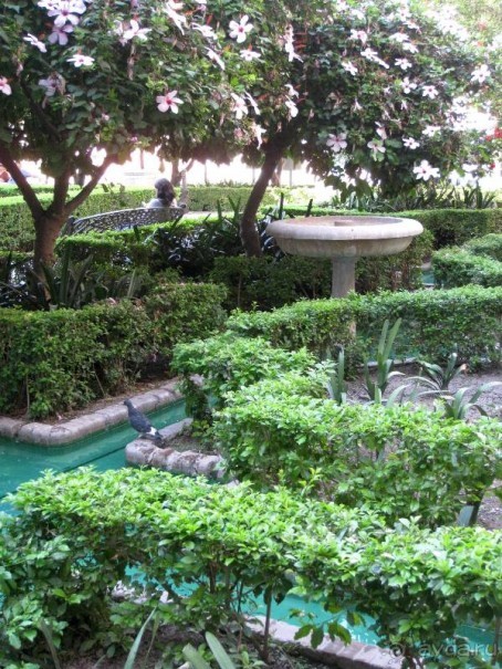 Прогулки по Андалусии (МАЛАГА, Ронда, Антекера). Часть 1.