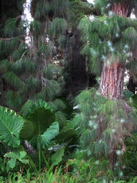 Прогулки по Андалусии (МАЛАГА, Ронда, Антекера). Часть 1.