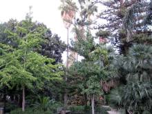 Прогулки по Андалусии (МАЛАГА, Ронда, Антекера). Часть 1.