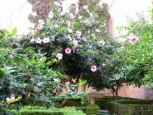 Прогулки по Андалусии (МАЛАГА, Ронда, Антекера). Часть 1.