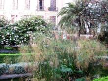 Прогулки по Андалусии (МАЛАГА, Ронда, Антекера). Часть 1.