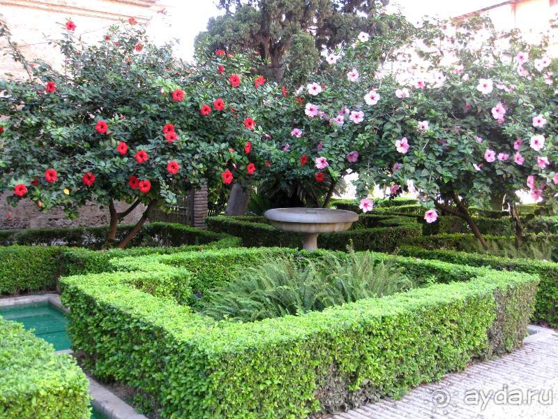 Прогулки по Андалусии (МАЛАГА, Ронда, Антекера). Часть 1.