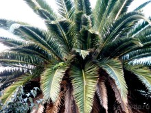 Прогулки по Андалусии (МАЛАГА, Ронда, Антекера). Часть 1.