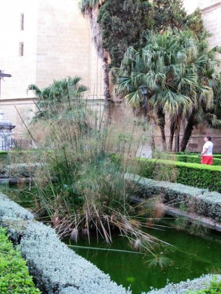 Прогулки по Андалусии (МАЛАГА, Ронда, Антекера). Часть 1.