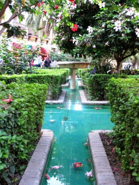 Прогулки по Андалусии (МАЛАГА, Ронда, Антекера). Часть 1.