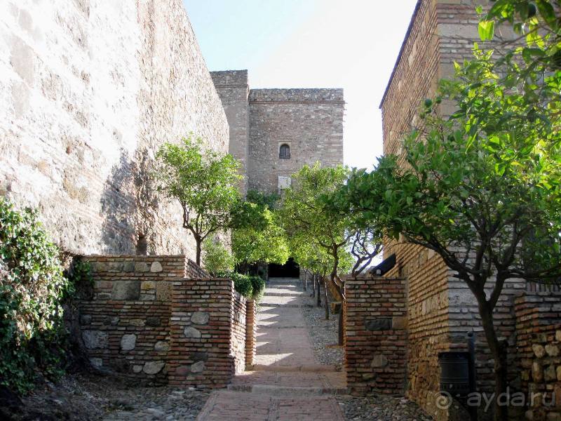 Прогулки по Андалусии (МАЛАГА, Ронда, Антекера). Часть 1.