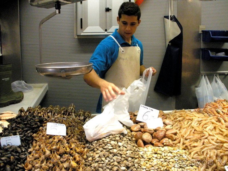 Прогулки по Андалусии (МАЛАГА, Ронда, Антекера). Часть 1.