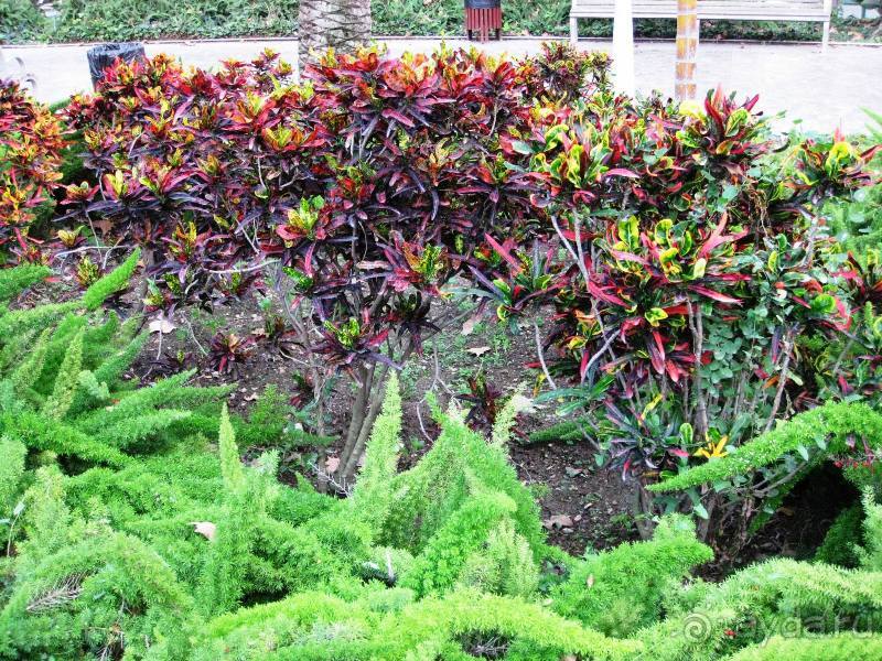 Прогулки по Андалусии (МАЛАГА, Ронда, Антекера). Часть 1.