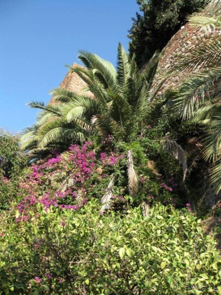 Прогулки по Андалусии (МАЛАГА, Ронда, Антекера). Часть 1.