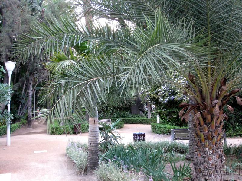 Прогулки по Андалусии (МАЛАГА, Ронда, Антекера). Часть 1.