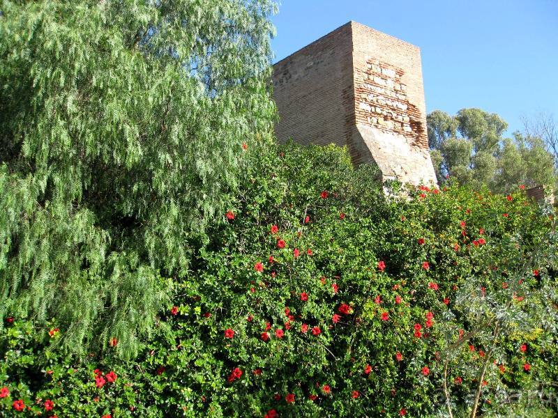 Прогулки по Андалусии (МАЛАГА, Ронда, Антекера). Часть 1.