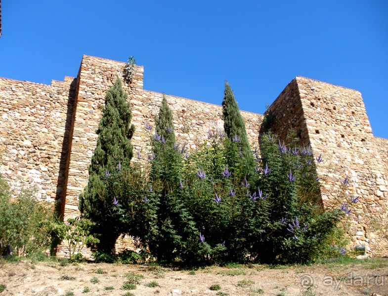 Прогулки по Андалусии (МАЛАГА, Ронда, Антекера). Часть 1.