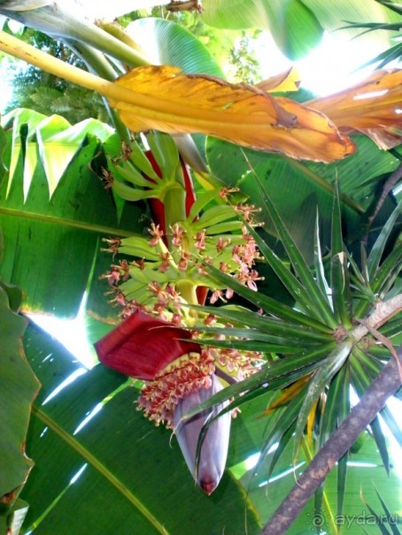 Прогулки по Андалусии (МАЛАГА, Ронда, Антекера). Часть 1.