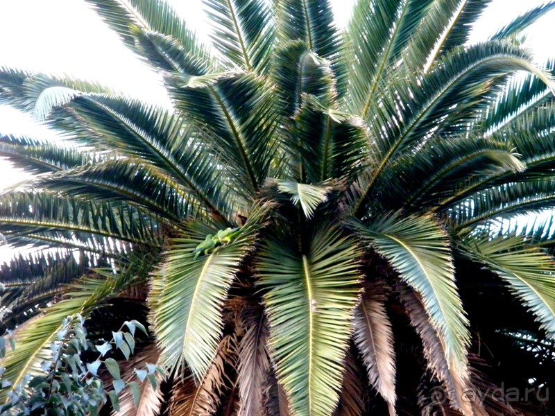 Прогулки по Андалусии (МАЛАГА, Ронда, Антекера). Часть 1.