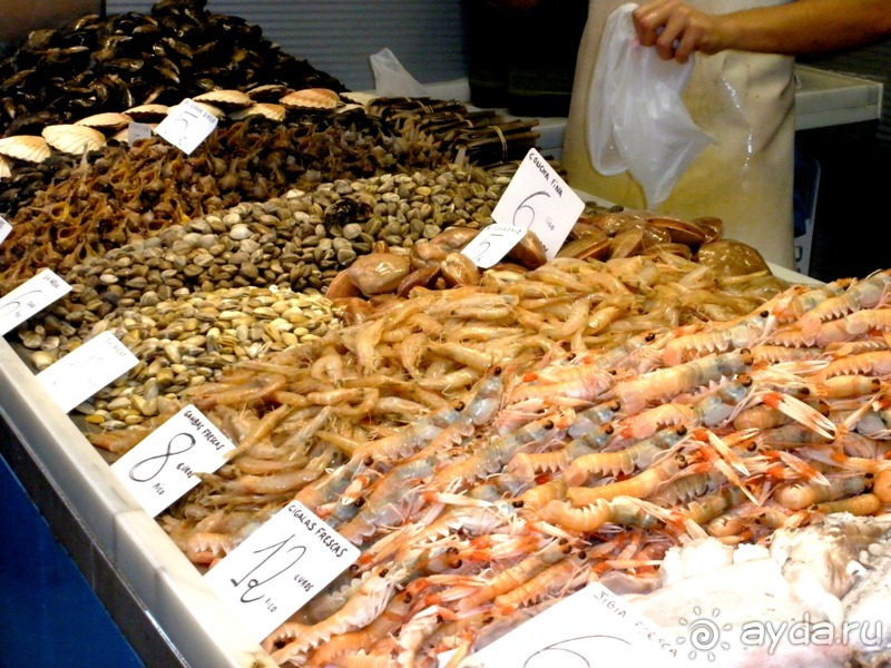 Прогулки по Андалусии (МАЛАГА, Ронда, Антекера). Часть 1.