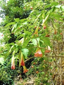 Альбом отзыва "Кольцо мечты: Каталония, Пиренеи и Коста-Брава - по обе стороны границы. Часть 6"