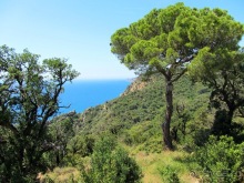 Альбом отзыва "Кольцо мечты: Каталония, Пиренеи и Коста-Брава - по обе стороны границы. Часть 6"