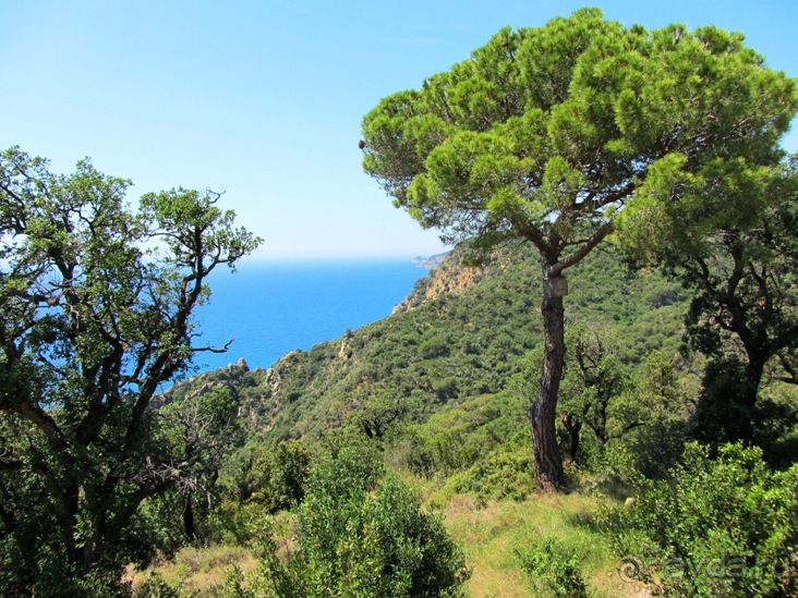 Кольцо мечты: Каталония, Пиренеи и Коста-Брава - по обе стороны границы. Часть 6