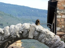 Новая попытка полюбить Италию – Умбрия. Часть 4