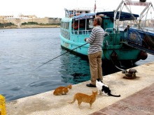 Мальта и мальтит* (Остров ГОЗО)