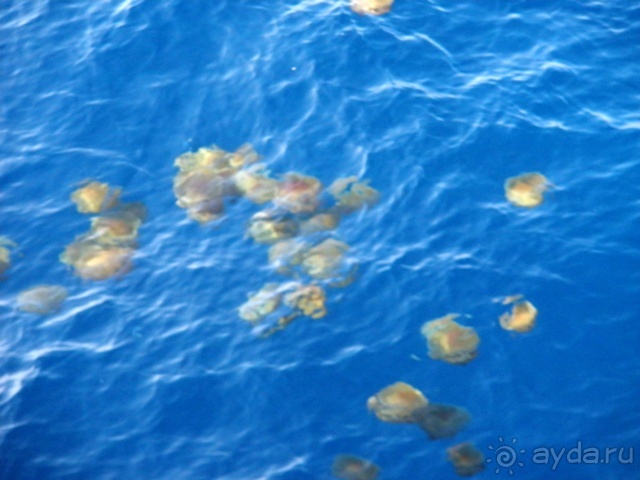 Мальта и мальтит* (Остров ГОЗО)