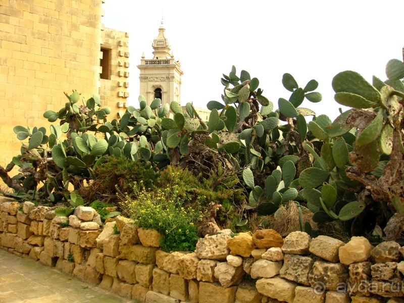 Мальта и мальтит* (Остров ГОЗО)