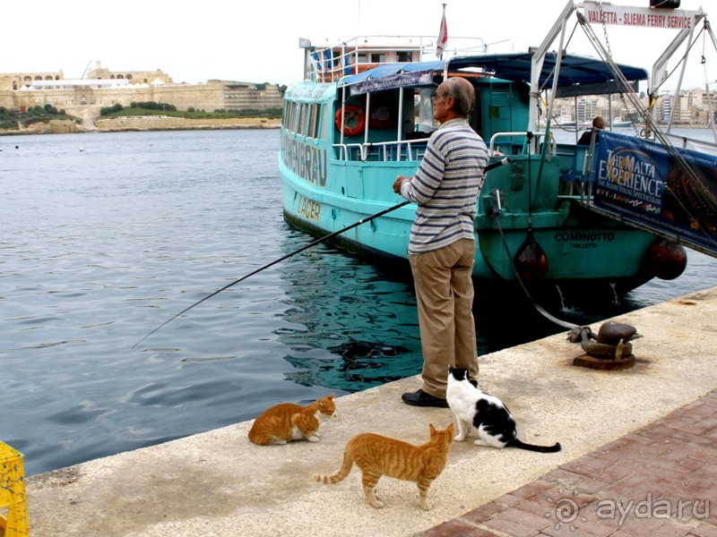 Мальта и мальтит* (Остров ГОЗО)