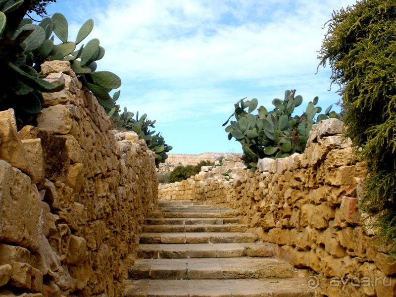 Мальта и мальтит* (Остров ГОЗО)