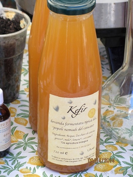 От Чинкве Терре до Флоренции, или боже, спаси Италию! Часть 7