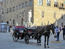От Чинкве Терре до Флоренции, или боже, спаси Италию! Часть 7