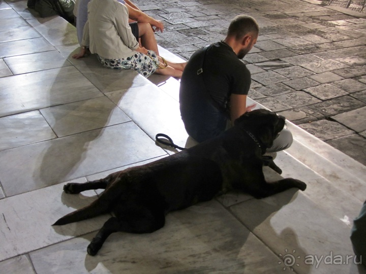 От Чинкве Терре до Флоренции, или боже, спаси Италию! Часть 7